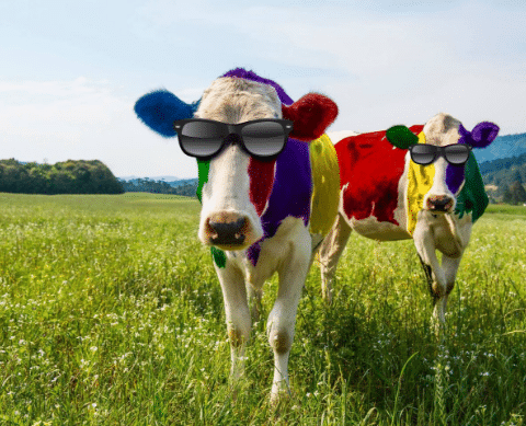 Color Ink Cows in a field